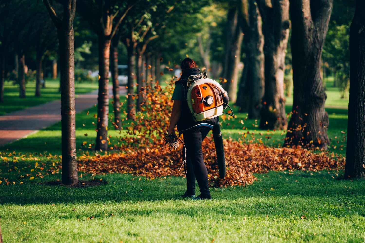 Best Tree Cutting Near Me  in USA